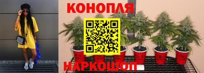 а пвп мука Тулун