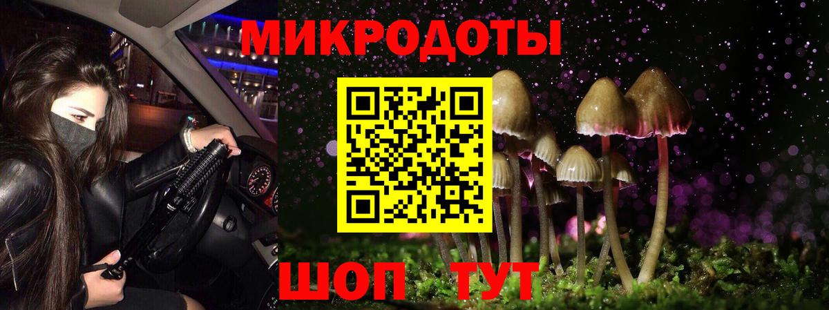 Нижний Тагил  Псилоцибиновые грибы прущие грибы  Псилоцибиновые грибы прущие грибы  Вход с VPN 